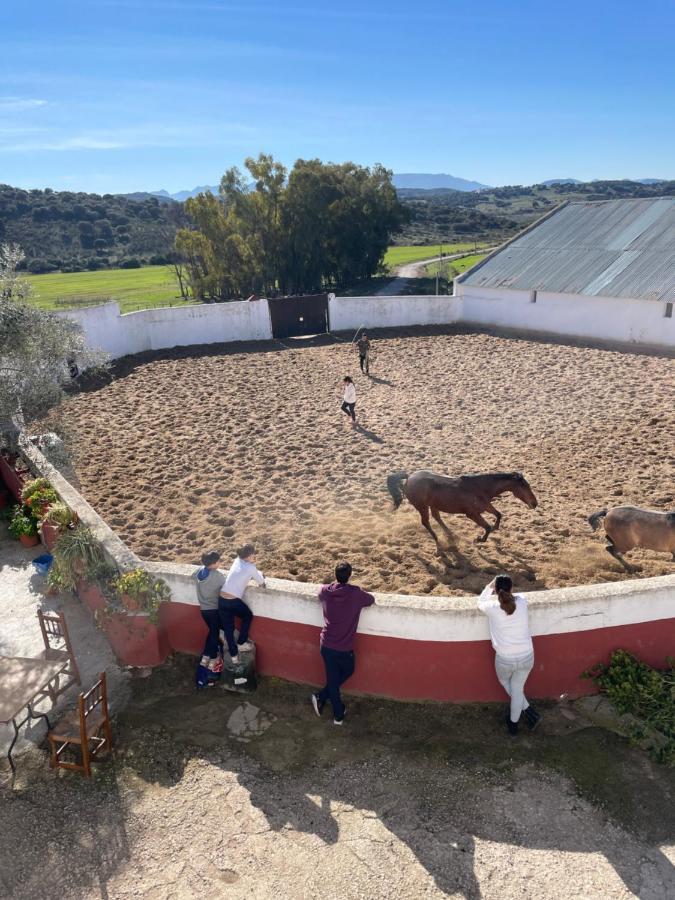Casa Rural Finca De Las Encarnaciones Bajas Villanueva de San Juan Exteriör bild