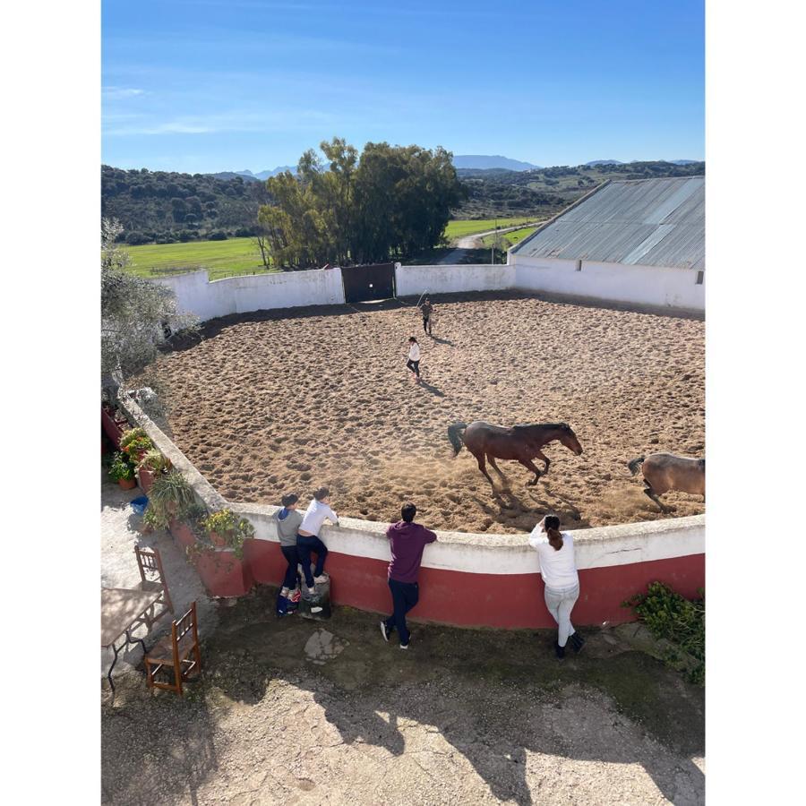 Casa Rural Finca De Las Encarnaciones Bajas Villanueva de San Juan Exteriör bild